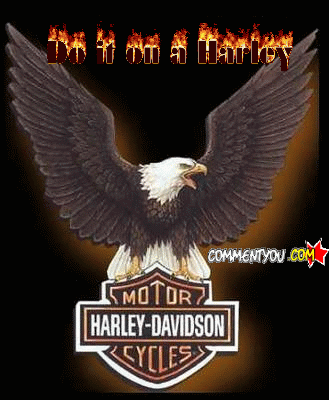 harley